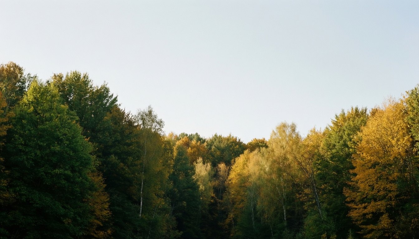 2. September