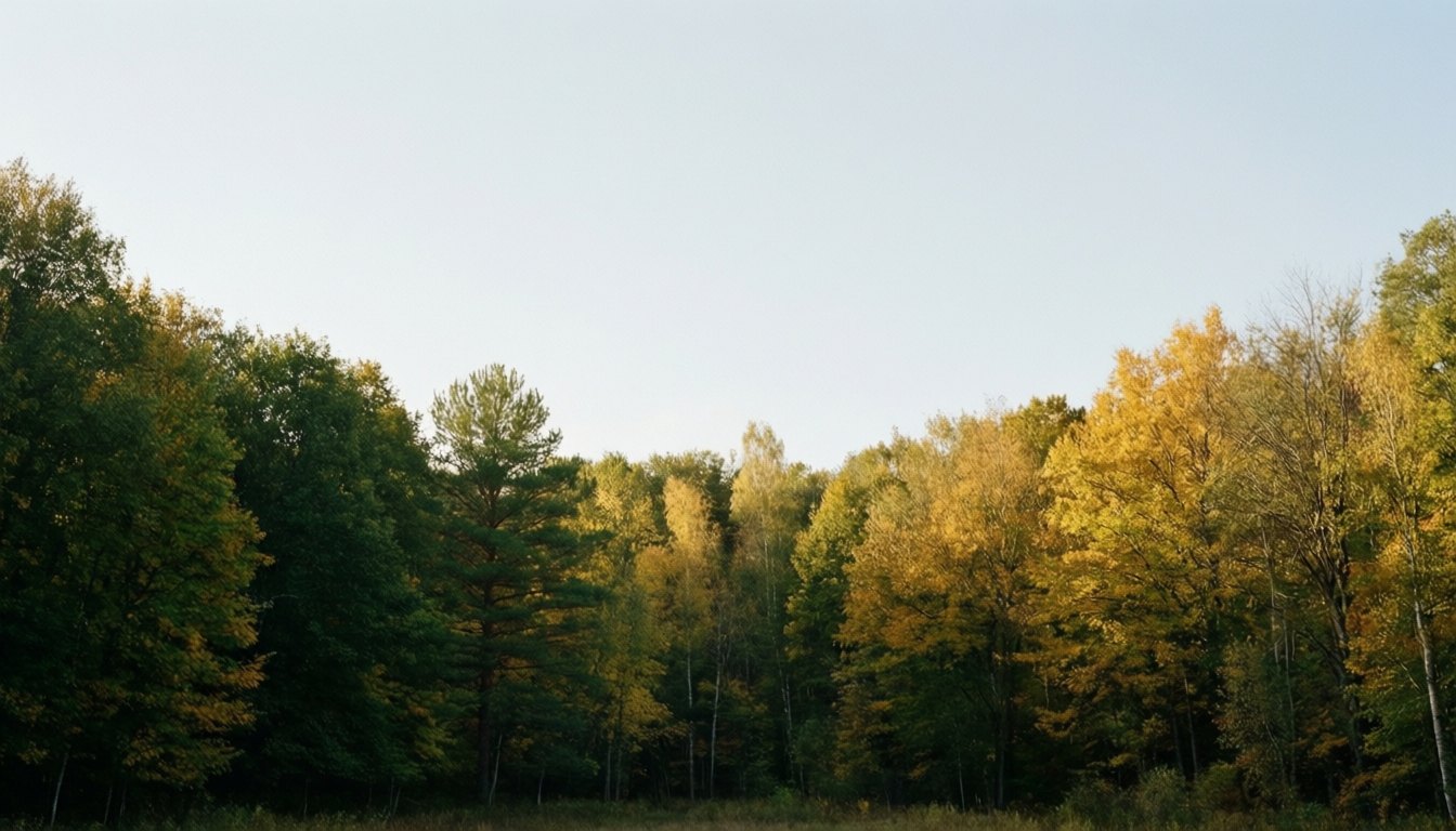 26. September