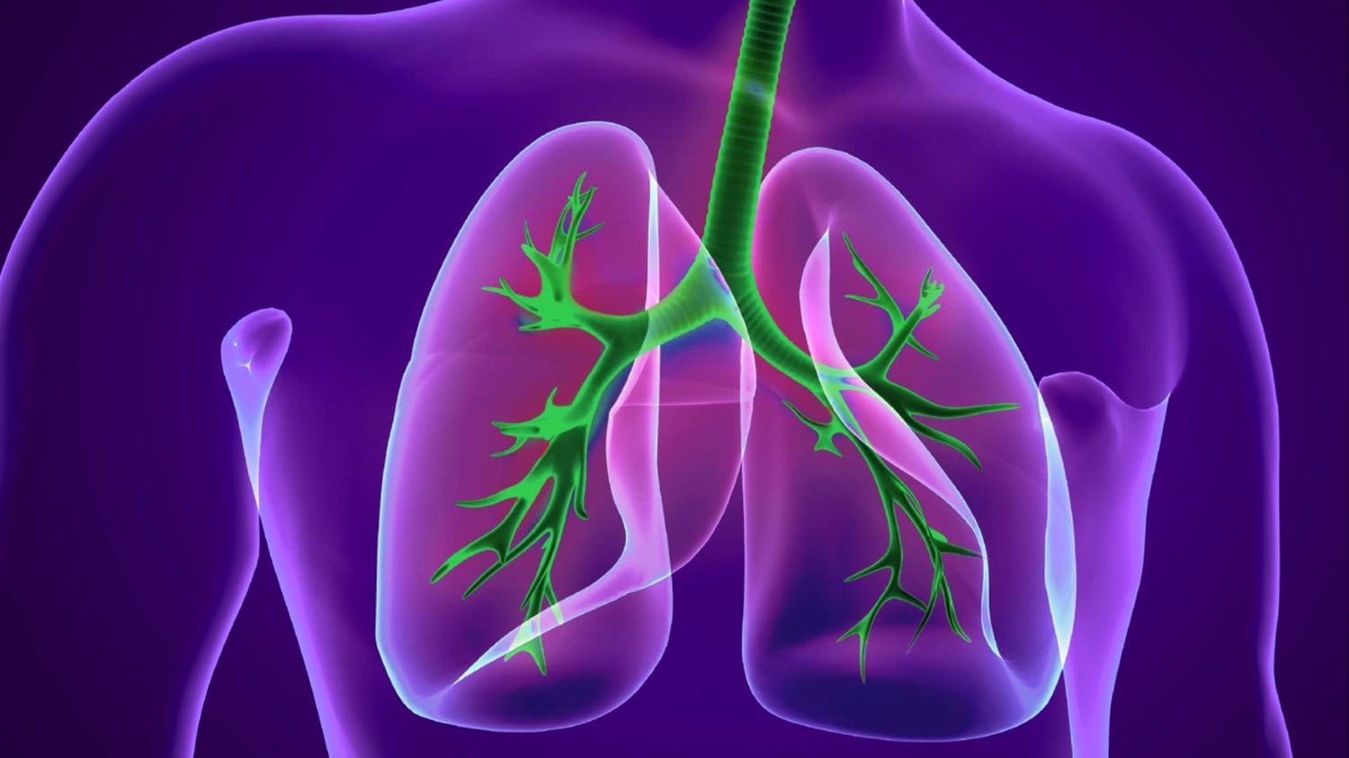 27 Fakten Über COPD