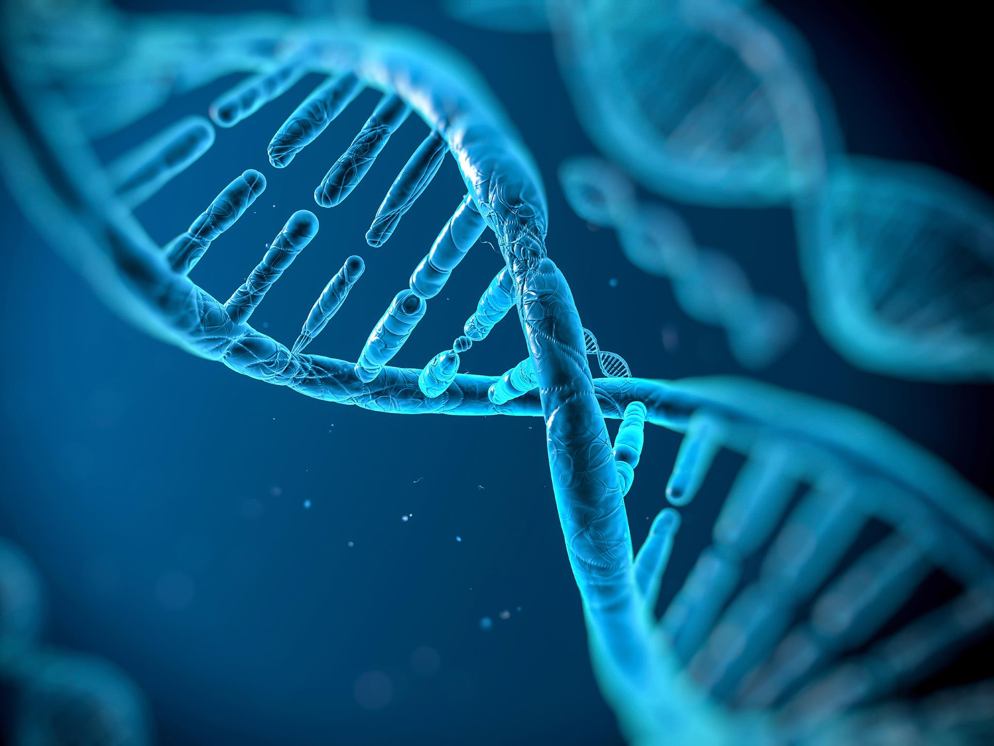 35 Fakten Über Gene