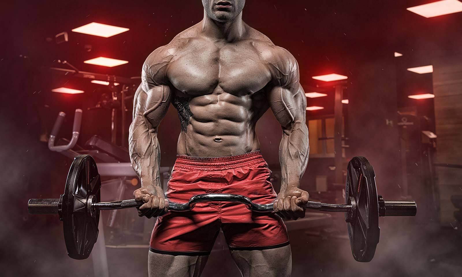 29 Fakten Über Bodybuilding